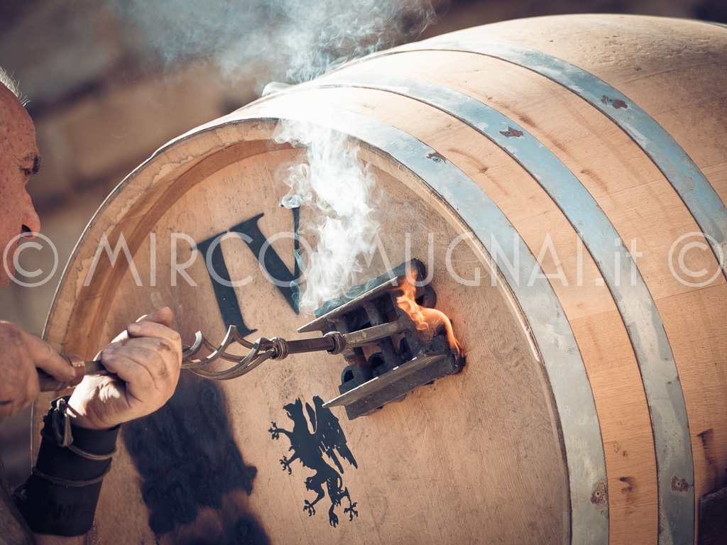 Bravio delle Botti 2016-4565