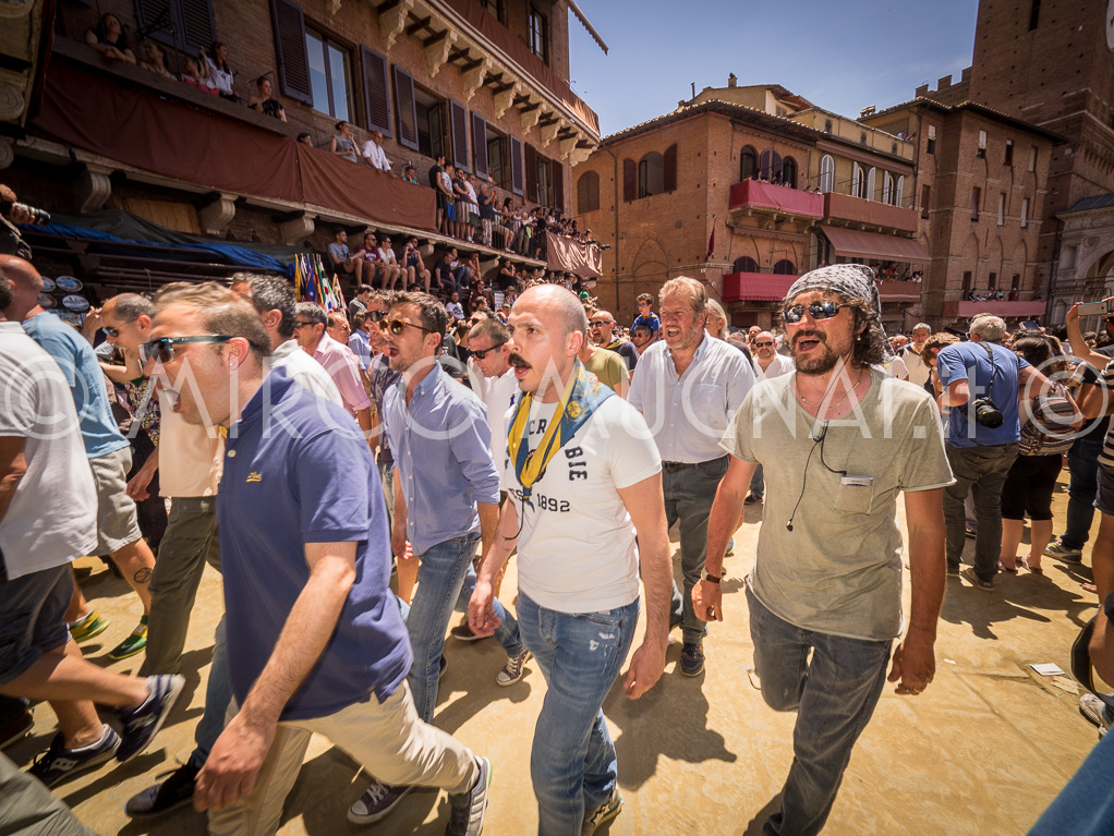Palio siena 2016 assegnazione