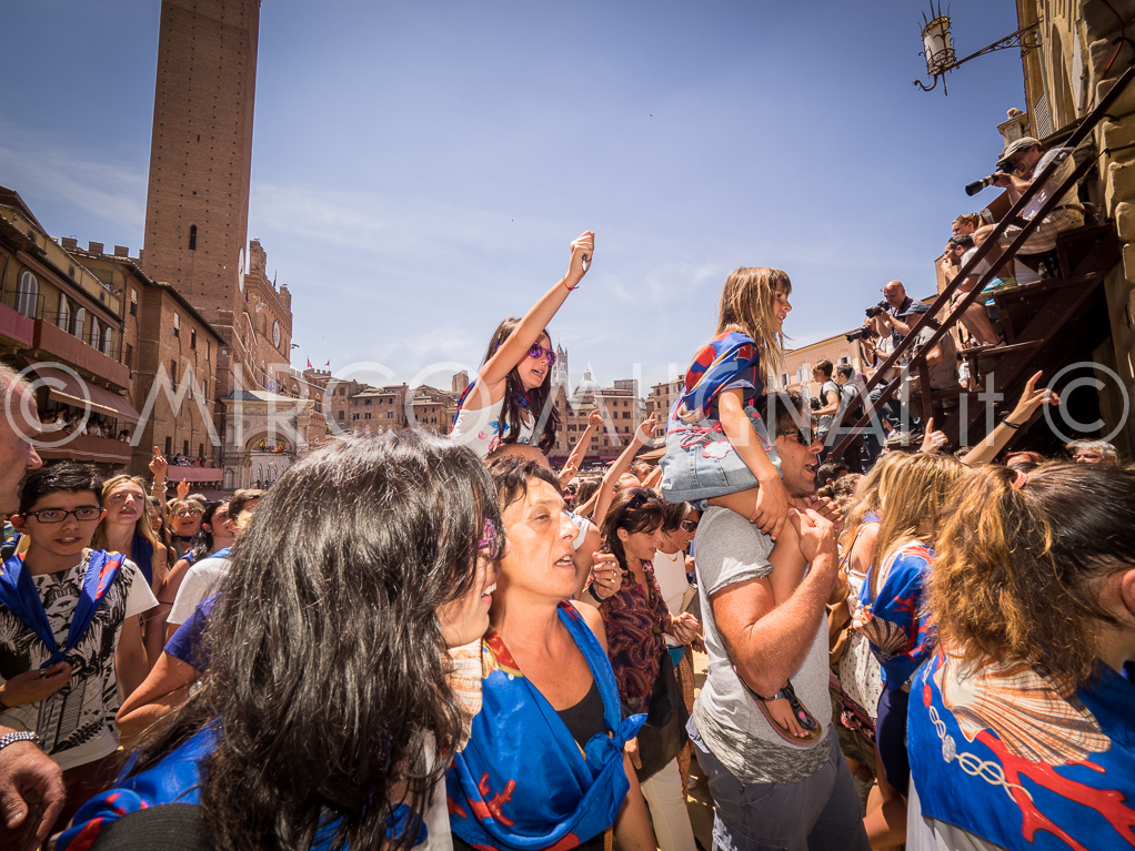Palio siena 2016 assegnazione