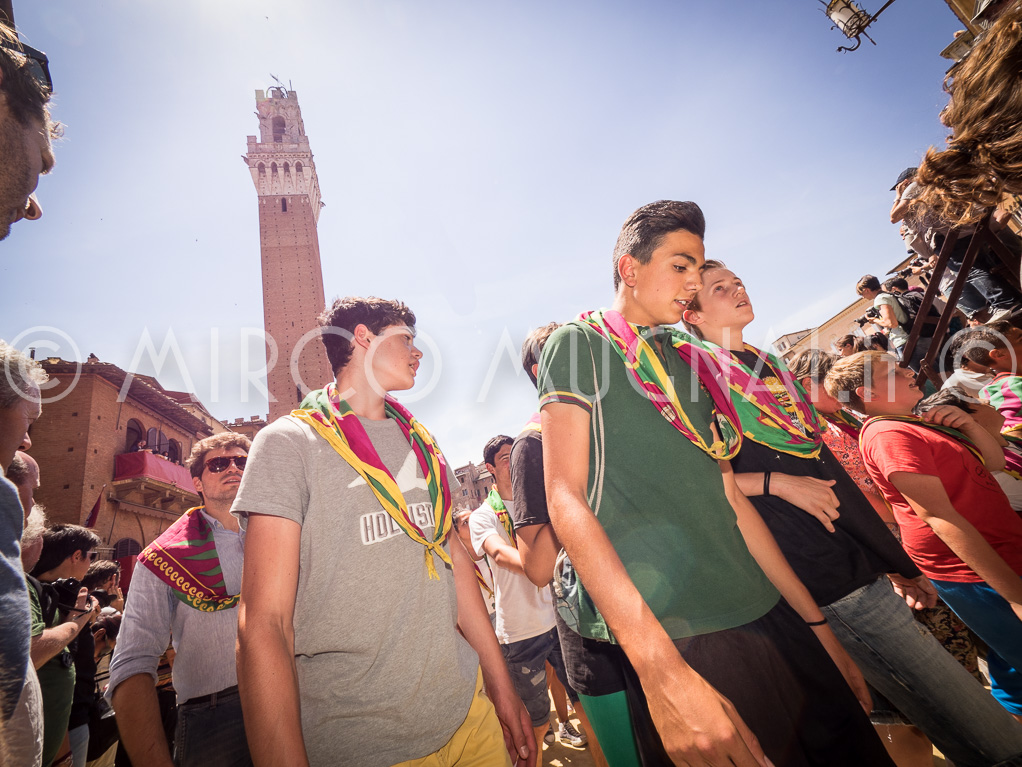 Palio siena 2016 assegnazione