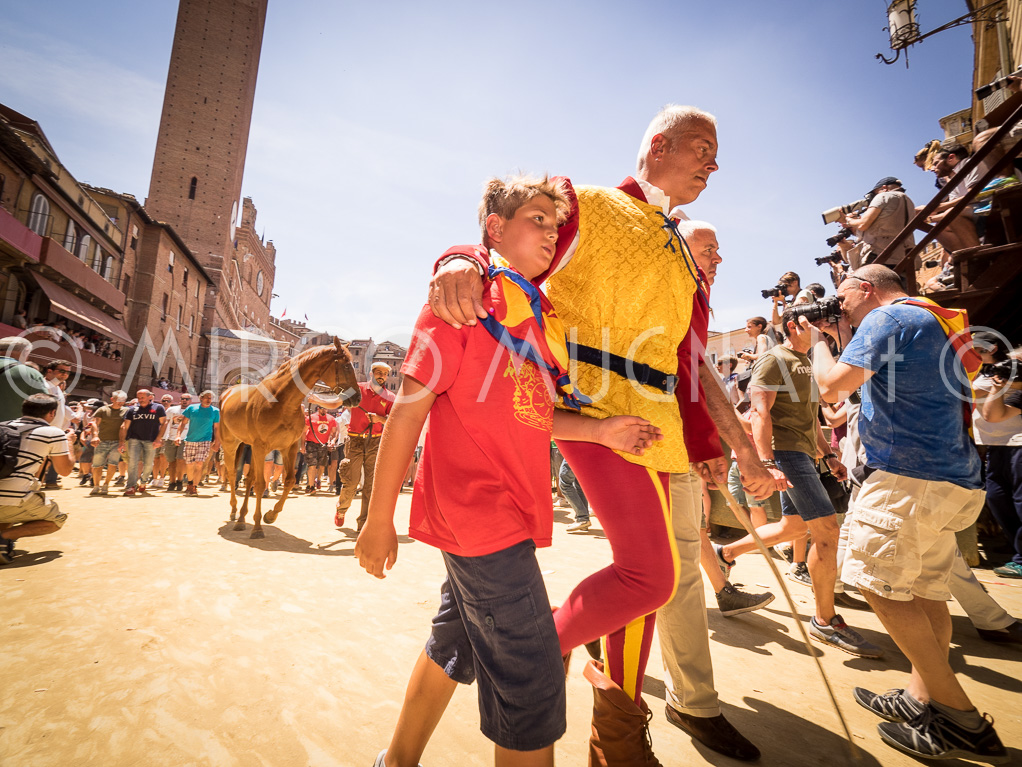 Palio siena 2016 assegnazione