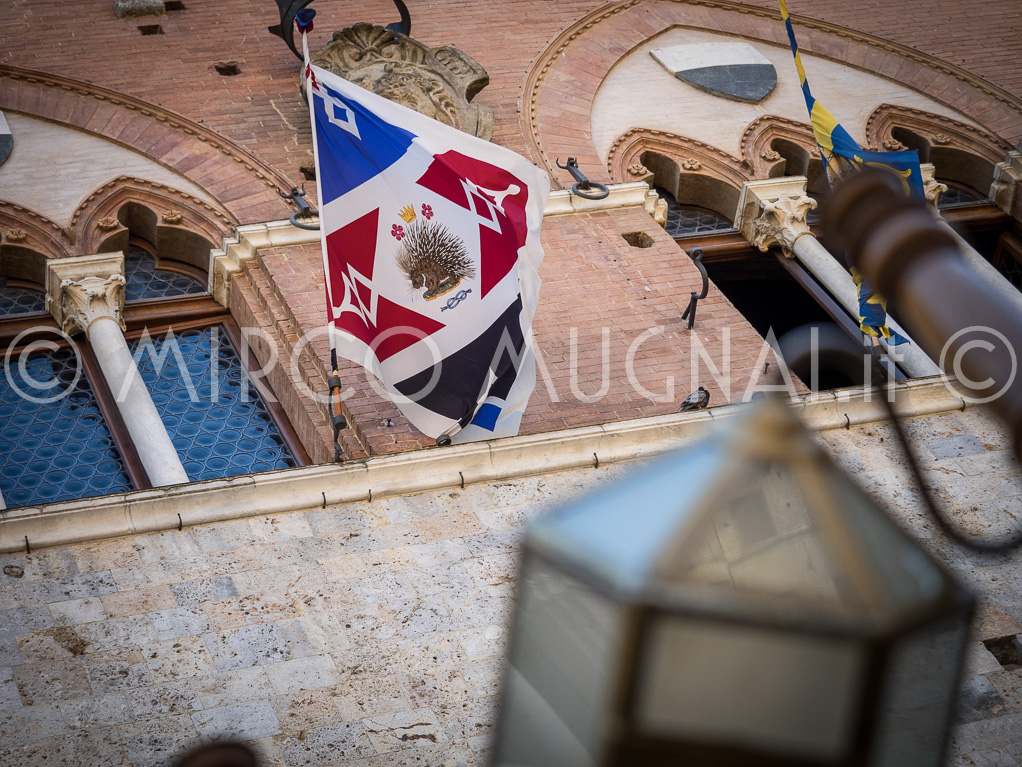 Palio siena 2016 assegnazione