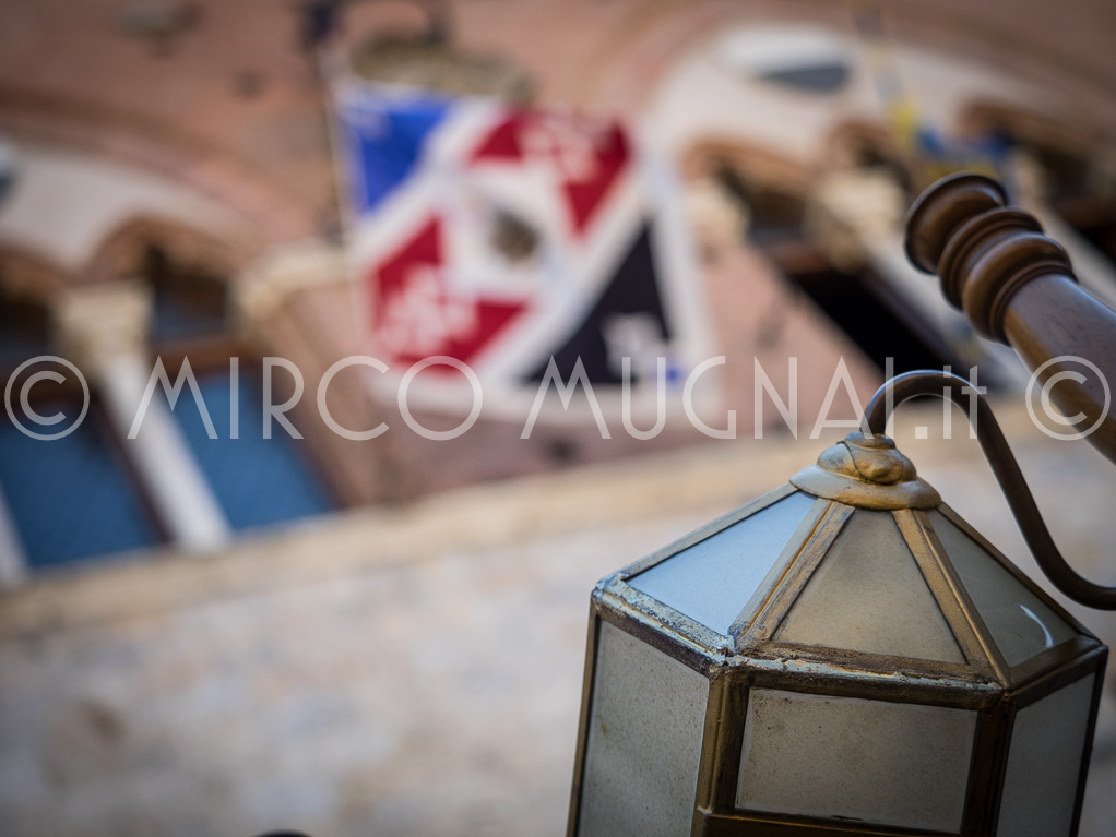 Palio siena 2016 assegnazione