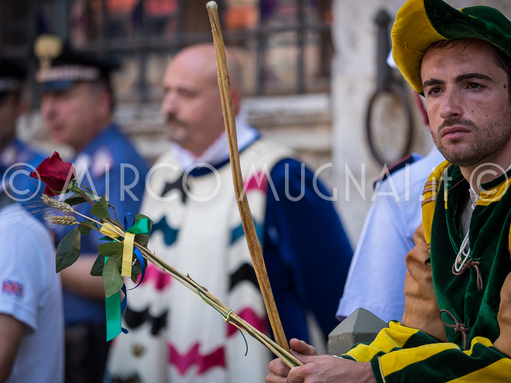 Palio siena 2016 assegnazione