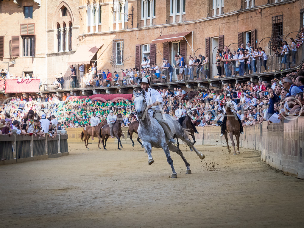 Palio siena luglio 2016 batterie
