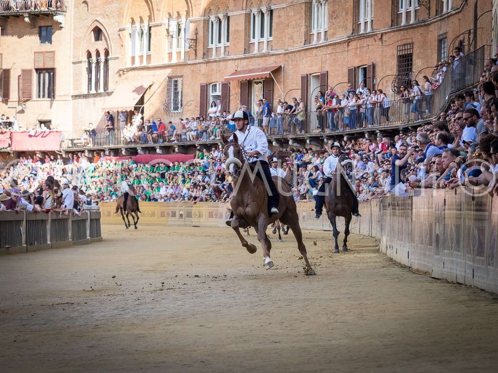 Palio siena luglio 2016 batterie