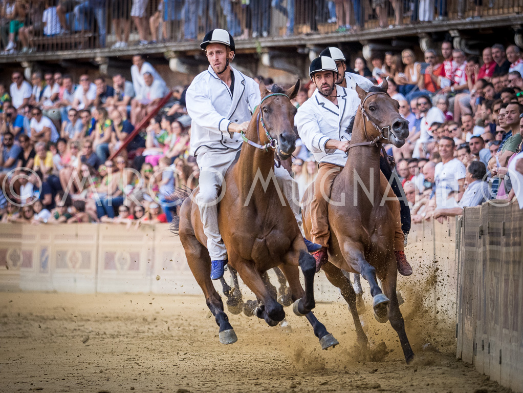 Palio siena luglio 2016 batterie