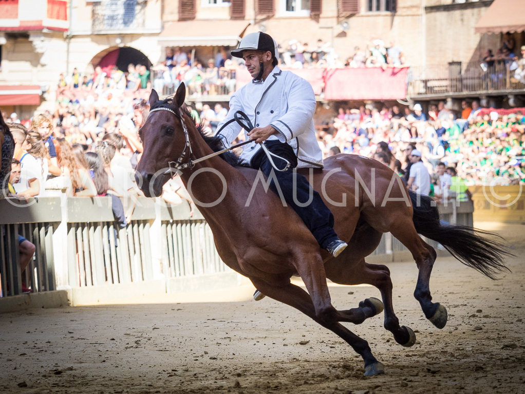 Palio siena luglio 2016 batterie