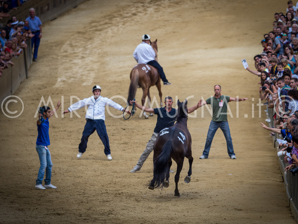 Palio siena luglio 2016 batterie