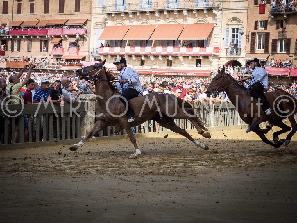 Palio siena luglio 2016 batterie