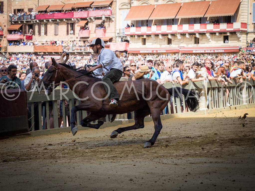 Palio siena luglio 2016 batterie