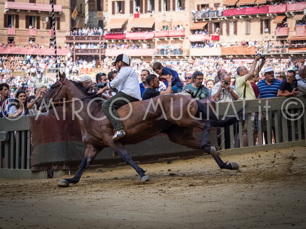 Palio siena luglio 2016 batterie