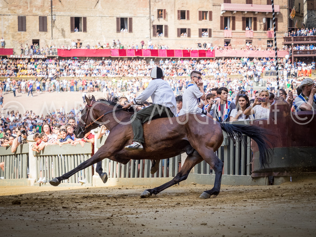 Palio siena luglio 2016 batterie