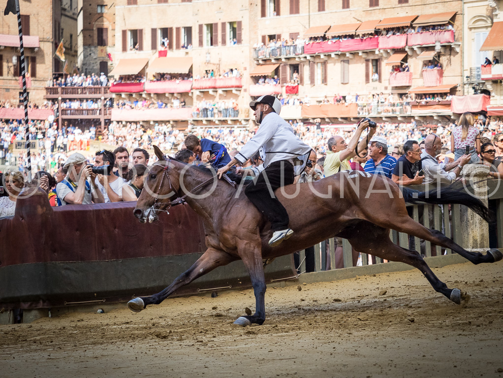 Palio siena luglio 2016 batterie