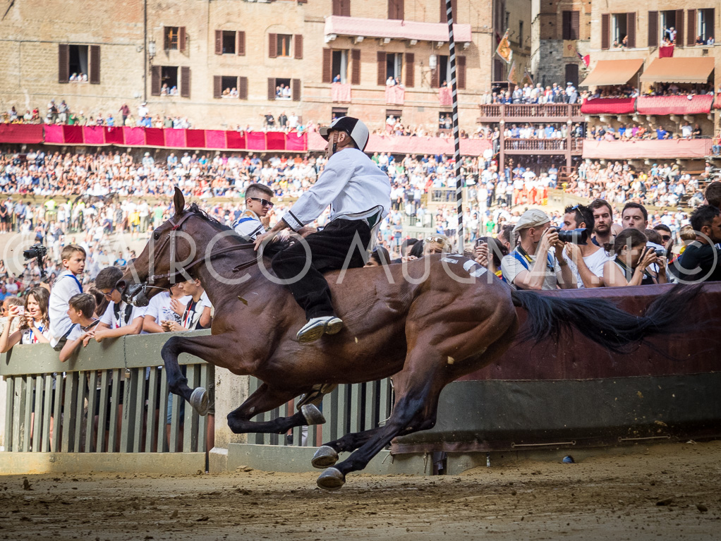 Palio siena luglio 2016 batterie