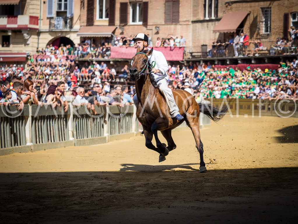 Palio siena luglio 2016 batterie