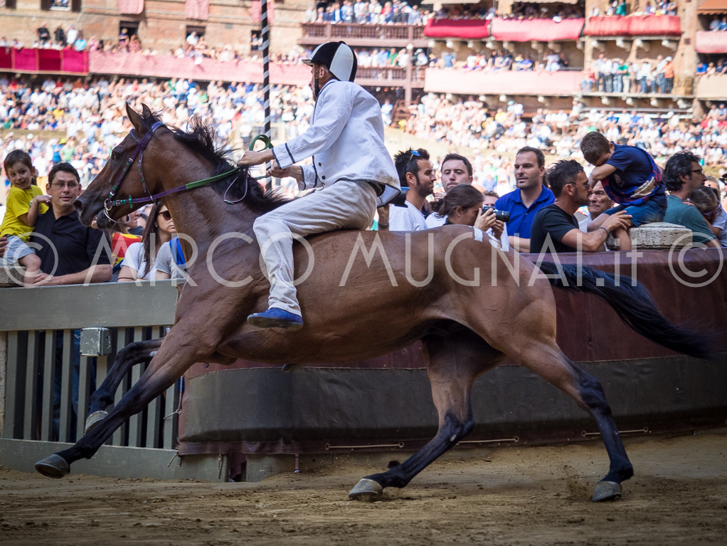 Palio siena luglio 2016 batterie