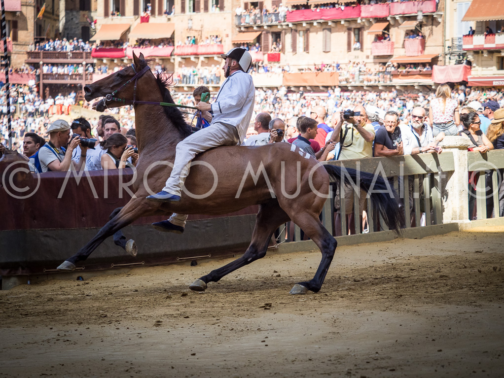 Palio siena luglio 2016 batterie